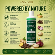 Ayurvedic Herbal Shampoo
