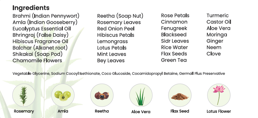 Annoor® Ayurvedic Herbal Shampoo – Sulfate-Free, Plant-Based, Gentle Clarifying Cleanse for All Hair Type