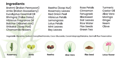 Annoor® Ayurvedic Herbal Shampoo – Sulfate-Free, Plant-Based, Gentle Clarifying Cleanse for All Hair Type